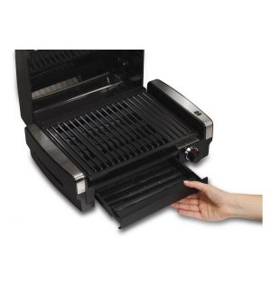 Flavor/Searing Grill